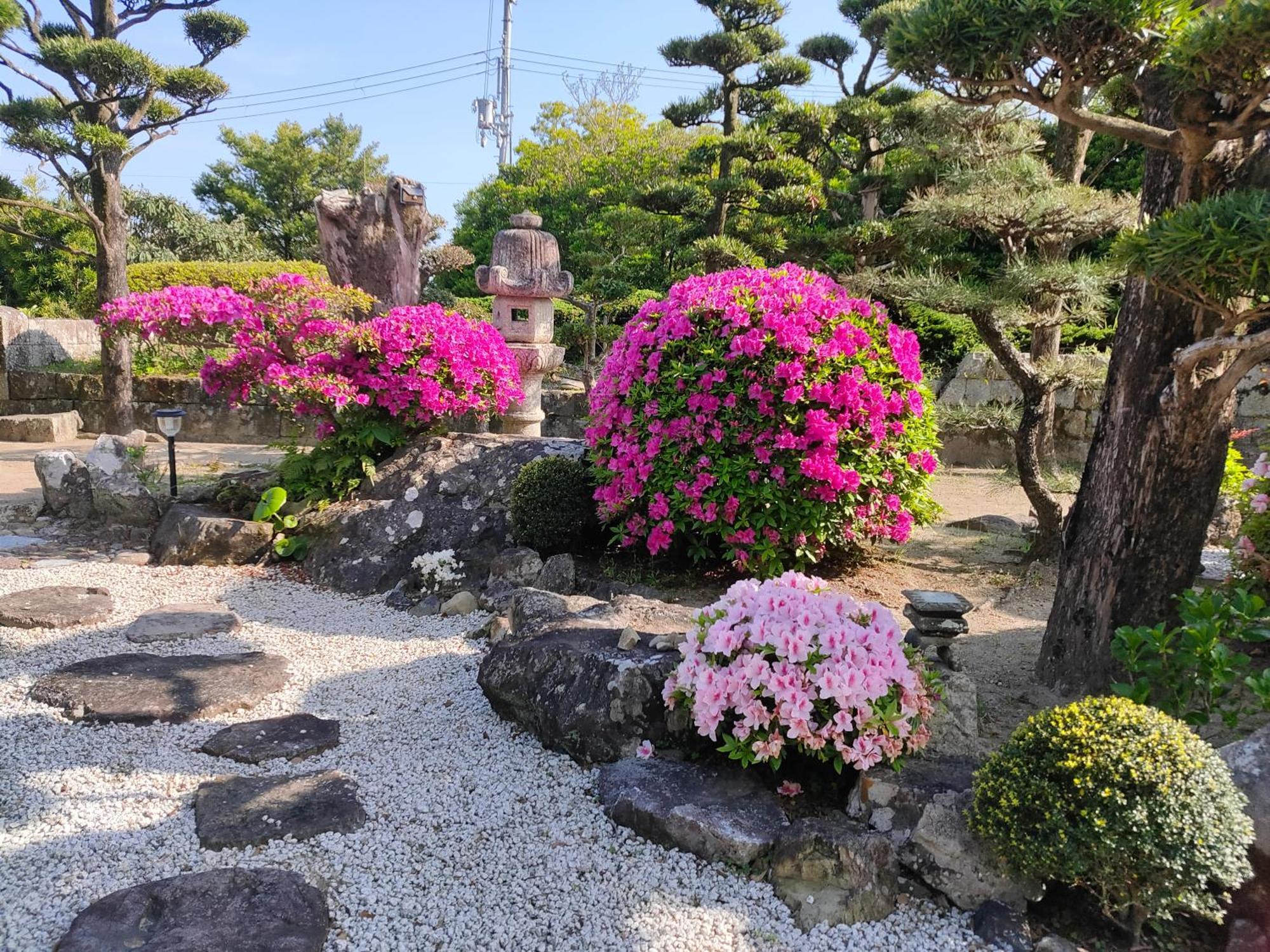 玉の浦sea