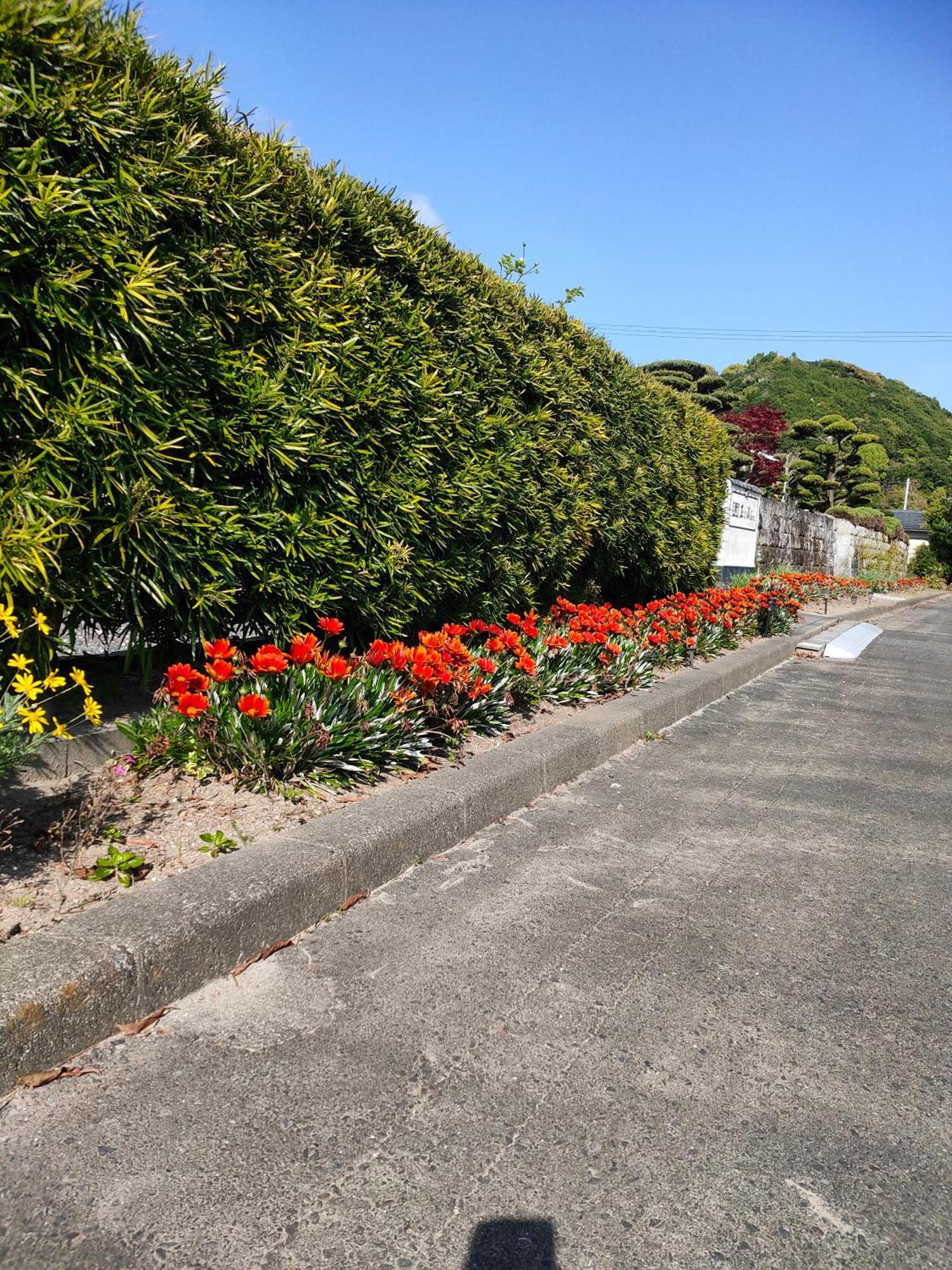玉の浦sea Country house
